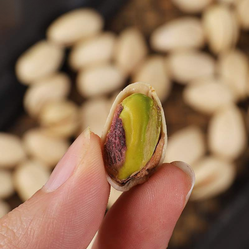 新货盐焗开心果罐装500g多规格坚果干货非原味年货孕妇休闲小零食|undefined