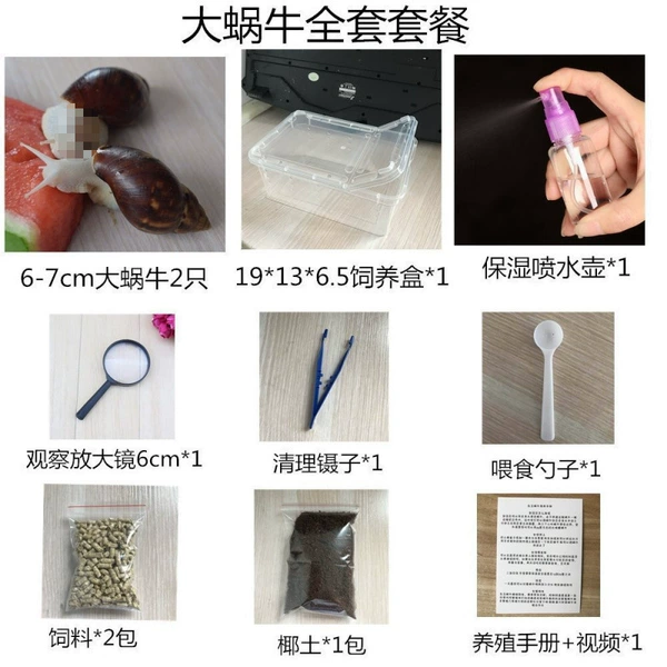 Complete snail observation package