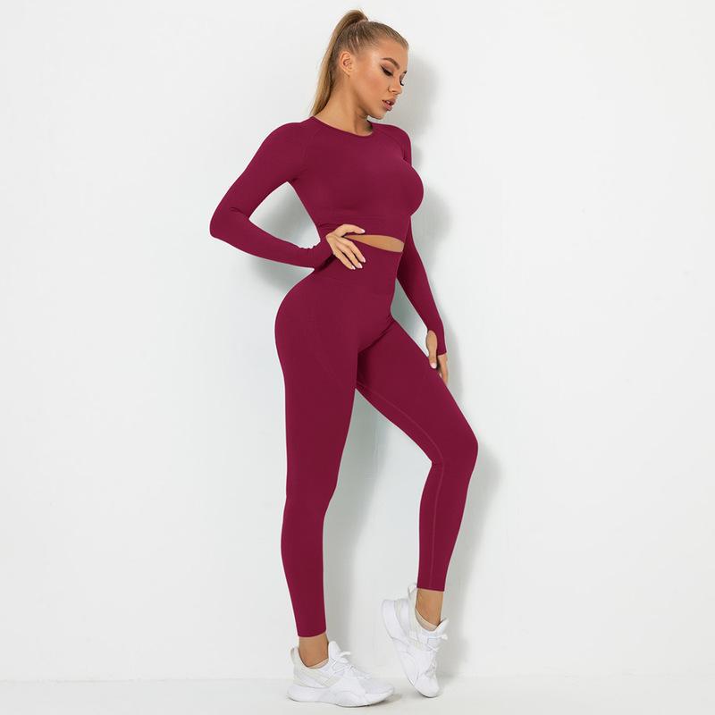Long Sleeve round neck high waist hip-lifting high-elastic solid color top and Pants yoga Set-Multicolor NSNS131990