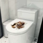 自粘贴浴室代发跨境马桶盖