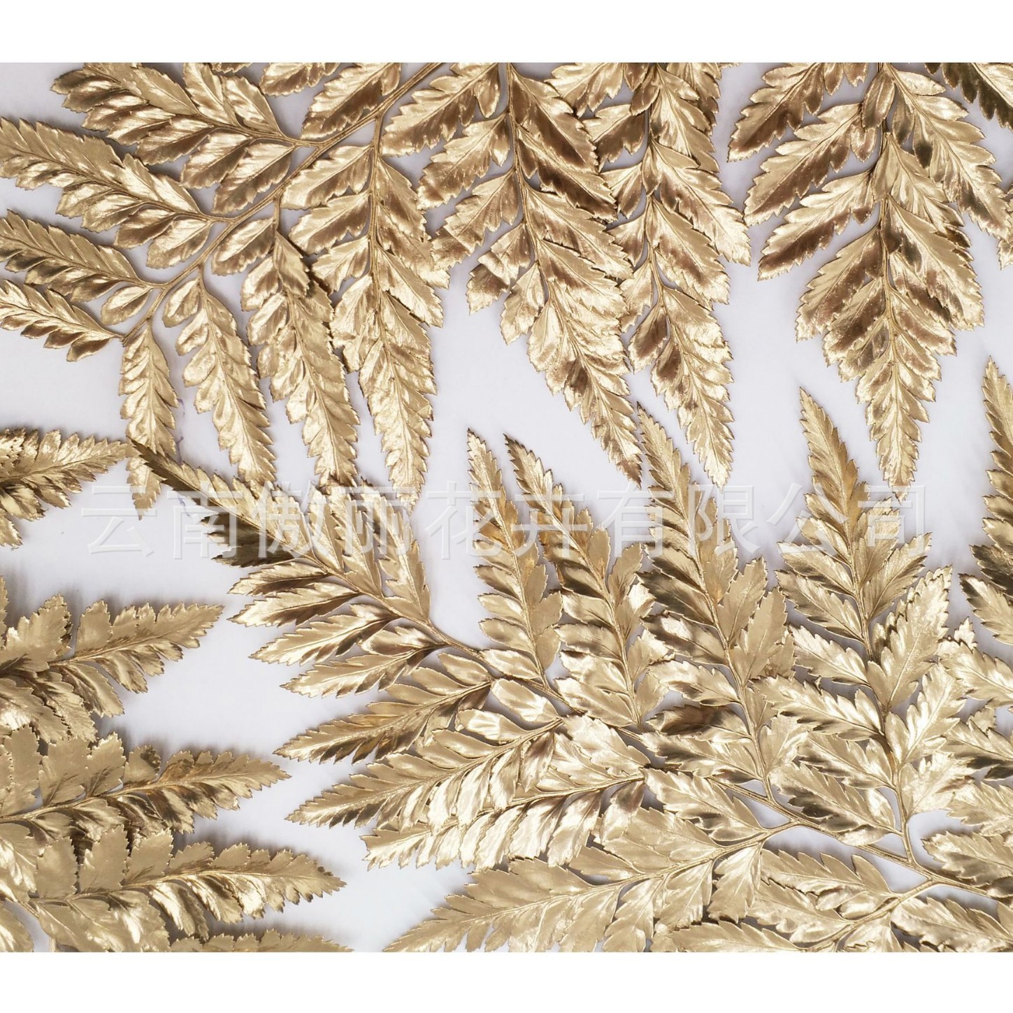 Yongsheng flor/Alpine ovejas diente hoja de helecho/hoja de helecho dorado material con hojas exportación calidad fábrica al por mayor