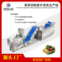 果蔬切割提升清洗生产线.jpg