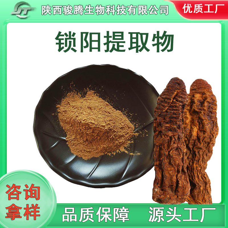 锁阳提取物30:1 锁阳生物碱 锁阳粉 锁阳肽 厂家直发现货包邮