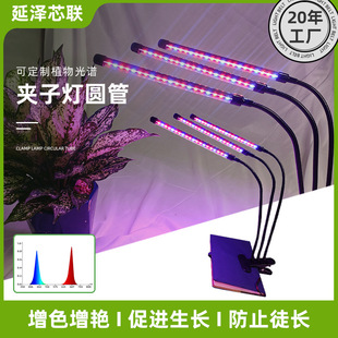 led clip plant growth light Full Spectrum timing dimming indoor fleshy flower seedling plant fill light