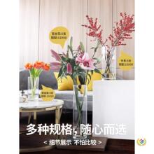 &otimes;͸���Ӻ�ֱͲ������ƿˮ��ֲ��ѩ��ˮ�B�����R��ľ���F���