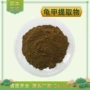 提取物龟板浓缩粉