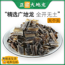 地龙中药材全正品开干地龙片地龙粉食用广西广地龙蚯蚓干地龙干