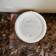 紧致霜细纹神奇滋润面霜经典60ML保湿淡化肌肤推荐偏乾修护保湿霜