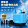 静音变频大流量喷泉潜水泵