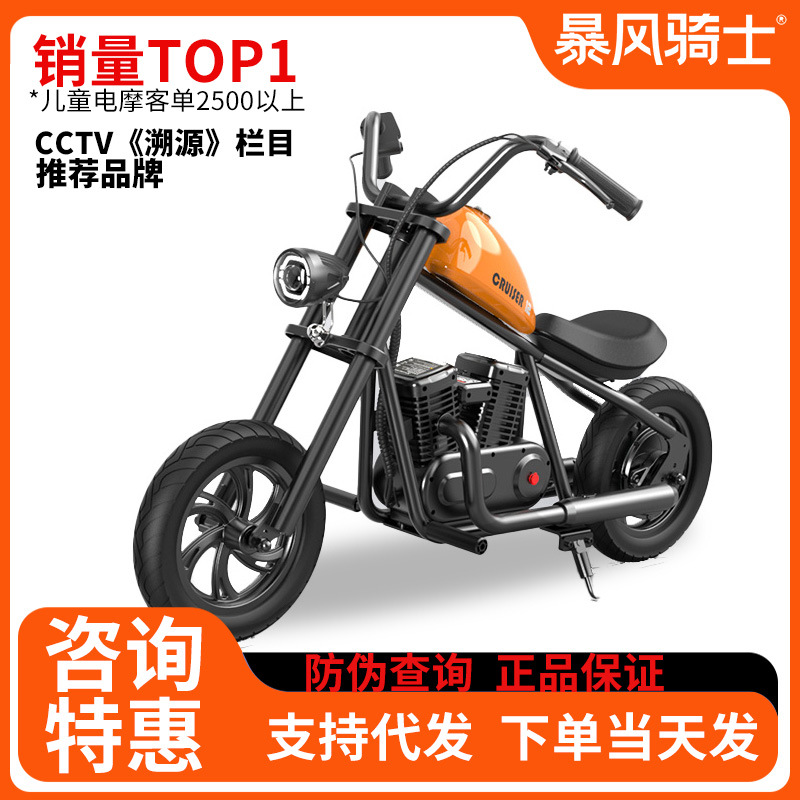 Electric motorcycle