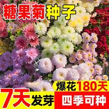 ǹջNӻɫһļ_ֲͥԺ׻