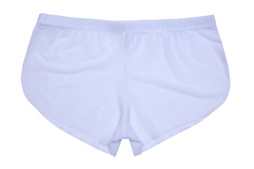 Mesh Arrow pants sexy mesh summer breathable sexy two-piece boxer briefs