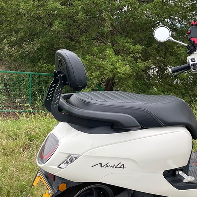 with support, Motorcycle cushion
