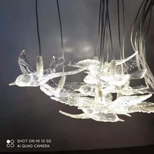 �l���w�B ��c���ߵ���b� ͸���w�B���� ��Y��̨�b����l