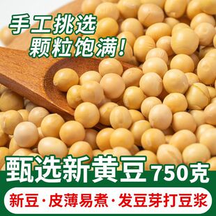 �S�����x750��1.5��󶹖|�����D����ߵ��״򶹝{����ѿ�������l