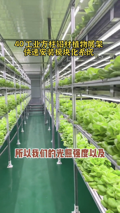 ֲ����ֲ��չ�ܹ�ҵ����4040��װ���Ӳ����ũ��Ʒ��ˮ�߿������