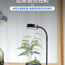 ✅led微景观补光灯木板鱼缸灯桌面水族缸射灯多肉植物灯水草灯批