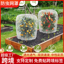 ����60Ŀ���x�W���r��ֲ������@���ψ@�־W�ַ��L�Ӻ�����