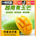 【坏果包赔】5斤正宗青芒果玉芒果整箱新鲜水果大果应季批发代发