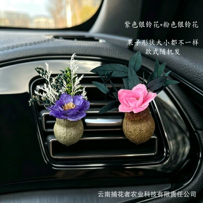 Decoration High-End Diffuser Car Gift Car Perfume Aromatherapy - pink-silverbell-flower-purple-silverbell-flower-gulu-fruit-car-style-free-essential-oil