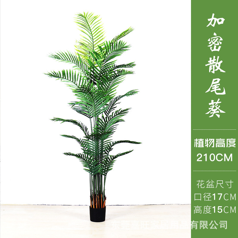 北欧シミュレーション散尾葵盆栽偽植物室内貴妃緑植盆栽鳳尾客間装飾着地置物|undefined
