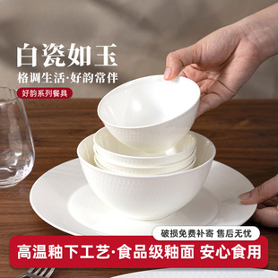 �ɰl��������մ������������2026�¿���P���b�;߳������