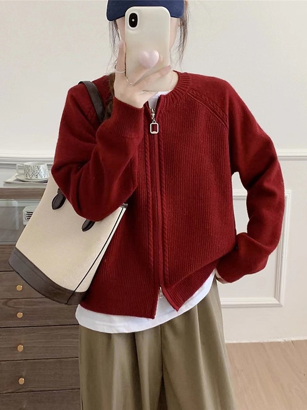 秋装2025新款女士拉链毛衣针织开衫外套女宽松外搭春秋高级感上衣|undefined