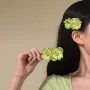 清爽侧边初春森系鸭嘴夹