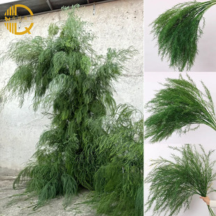 �J���ݷ����c���滨�������þGֲɭϵ�Gɫ�ٻ���Y�û�ˇ�����