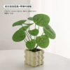 Bubble vase + apple leaves