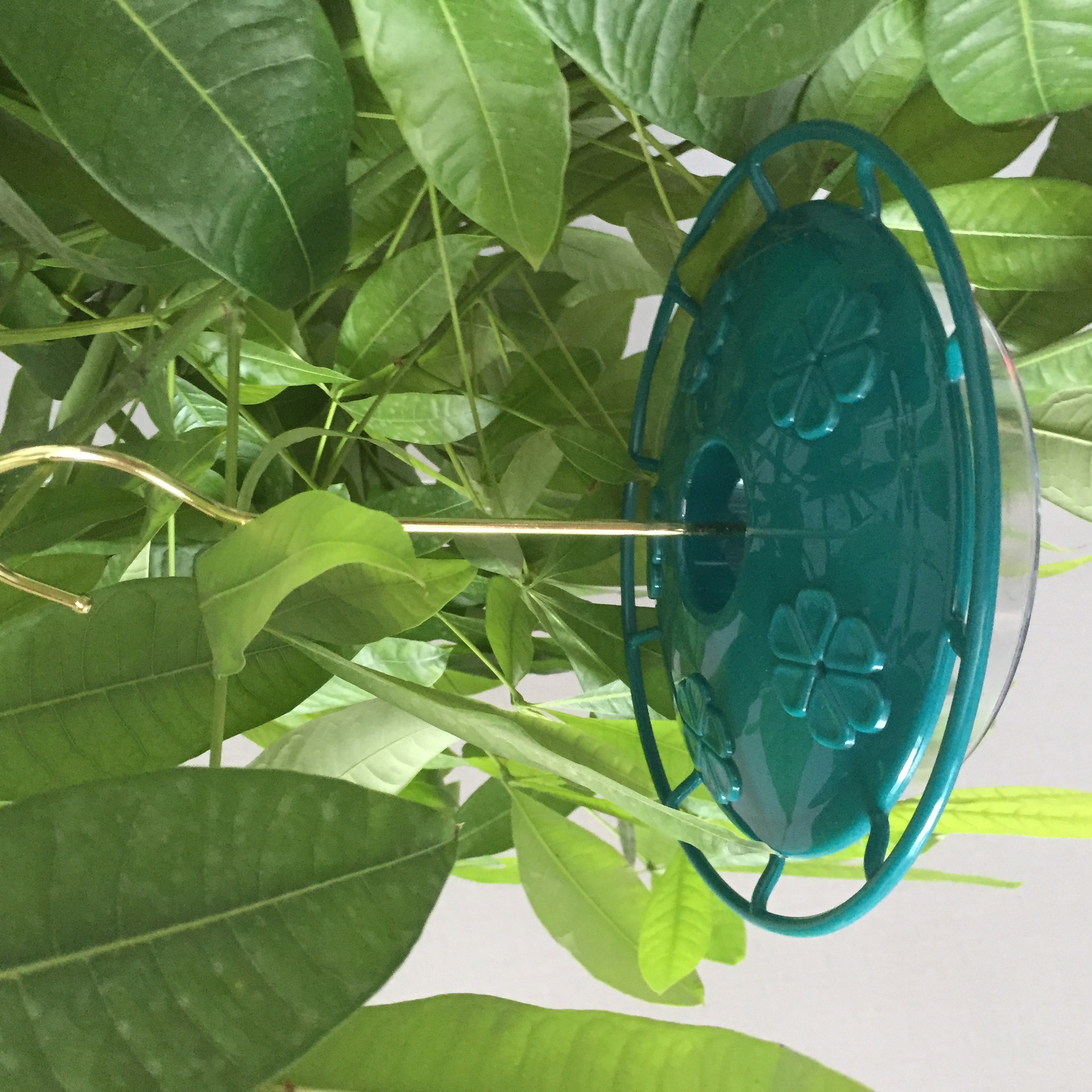 O1CN01q3Fneo1XA0KSNmA7p_!!2215