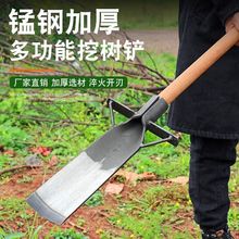 ژPiF@rFP猣ùژ呴Ƙ