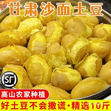 甘肃定西土豆沙面黄心马铃薯蔬菜洋芋旱沙地种植新鲜现挖10斤