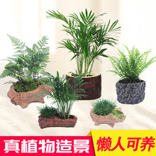 ��������ˮ�ݻ��w�~���b��ײ�ֲ���ˮ�ų�ľˮ�ݵ�ˮ����ˮ����