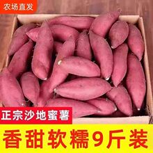 ����ɳ�������t�����r�����������ع������Ŵ�o�z�S������