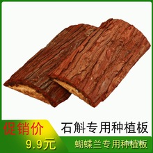 ʯNֲʯľҒ쾰mԻ|mrI