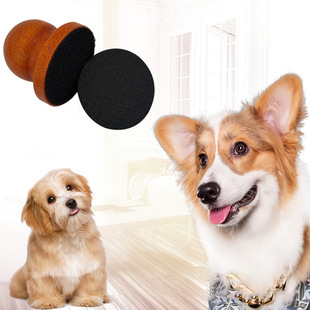 �F؛ľ�ƹ���ָ���S���ֳ�ʽָ�׹ΰ匙��ָ�������������l