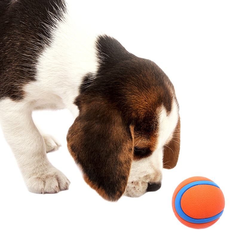 Bola sólida bola de juguete para mascotas bola de juguete para perros