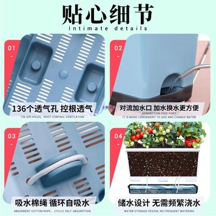 �N�����̨�N�����̖�����L�l�����❲ˮ��ͥ�߲˷Nֲ���ײ�