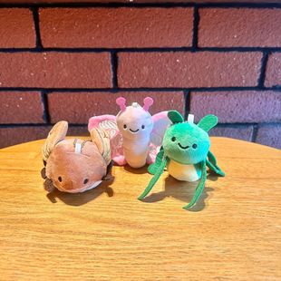 Cute Insect Mantis Butterfly Cicada Expression Plush Doll Bag Pendant Arcade Claw Machine Gift in Stock