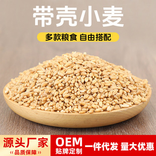 ��֮��������ʳ�ָ��w�S�����z����؈����}���ζ����ĥ����ʳ