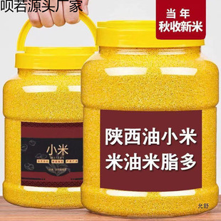 5������r�����SС�� ��ŴС��������s�Z������С�S��