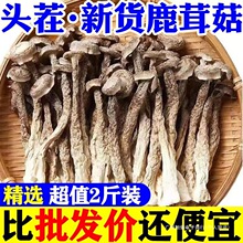 鹿茸菇干货500g鹿茸菌云南食用菌香菇脆脆菇煲汤食材产地直销