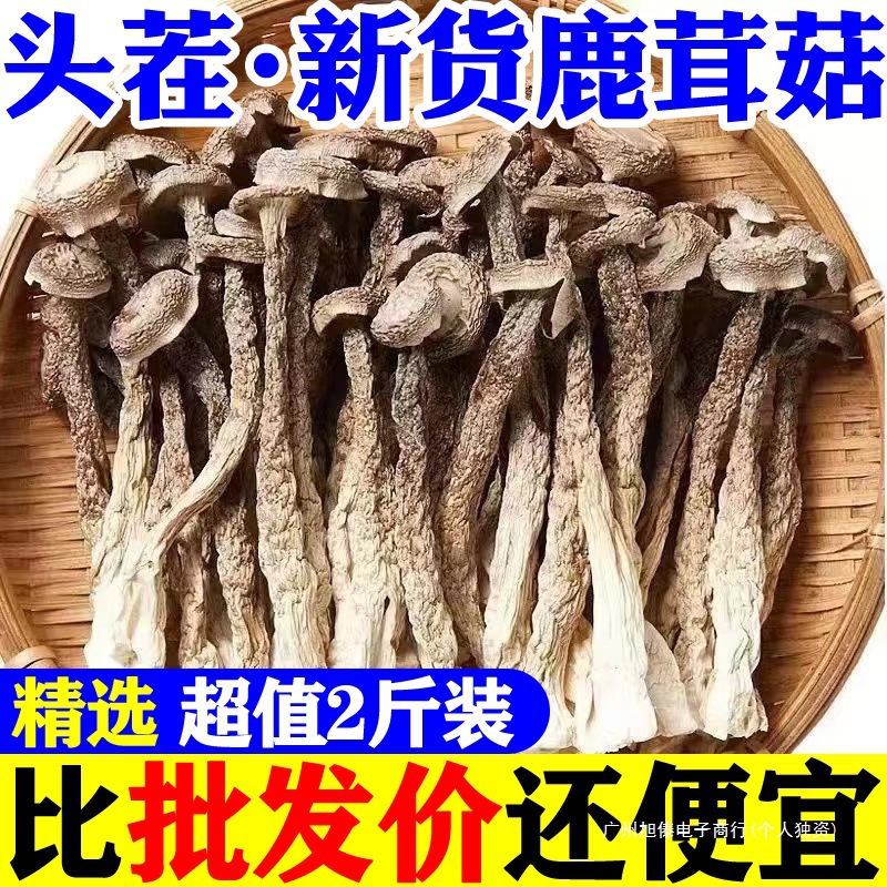 鹿茸菇干货500g鹿茸菌云南食用菌香菇脆脆菇煲汤食材产地直销