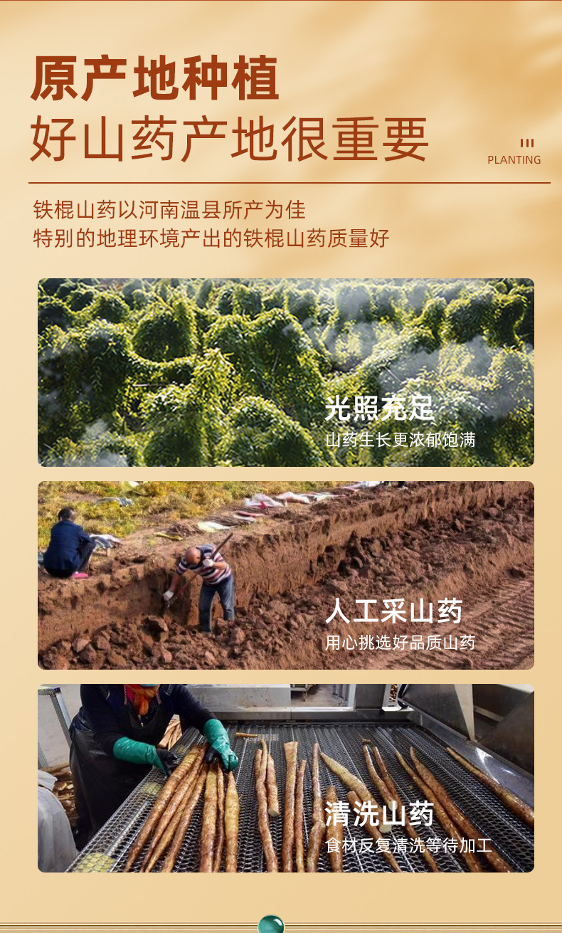 Wenxian Iron Stick Yam Powder 180g Authentic Huai Shan Yao Meal Replacement Pure Chinese Yam Powder key features