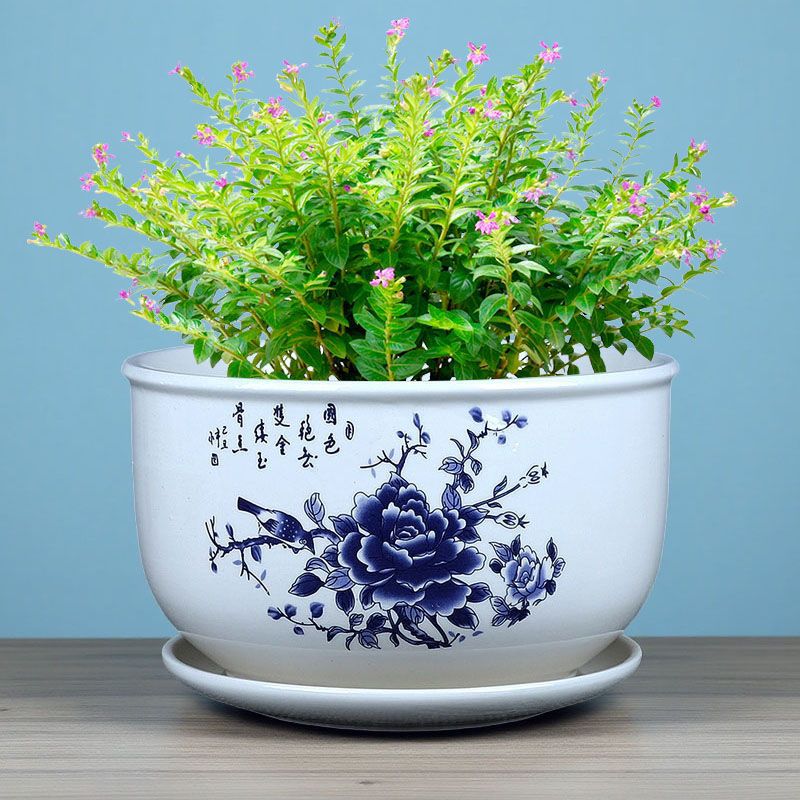 创意花盆陶瓷特大号绿植花盆带托盘大口径花盆兰花盆盆景花盆批发