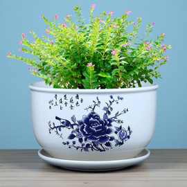 创意花盆陶瓷特大号绿植花盆带托盘大口径花盆兰花盆盆景花盆批发