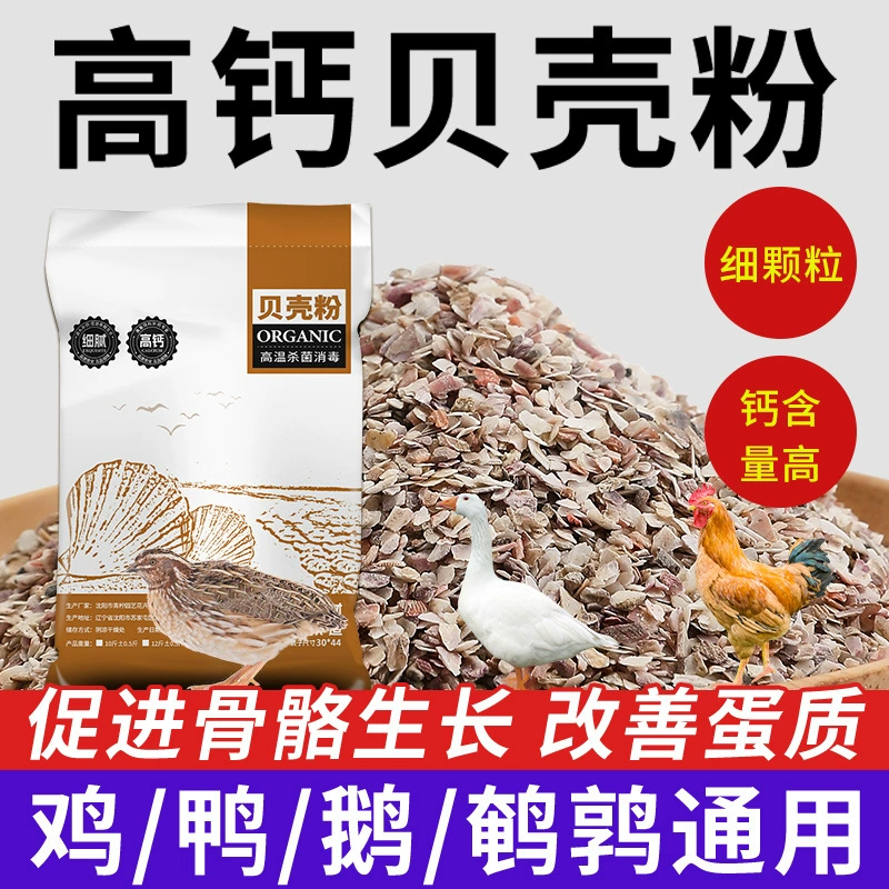 Порошок устриц с высоким содержанием кальция