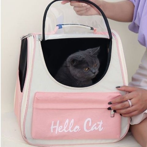 복숭아 가루 - 10kg 이내