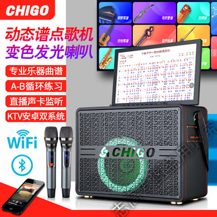 Заводские прямые продажи Zhigao Plaza Dance Dance Machine Machine Bluetooth Audio Belt Display Home Mobile KTV динамик